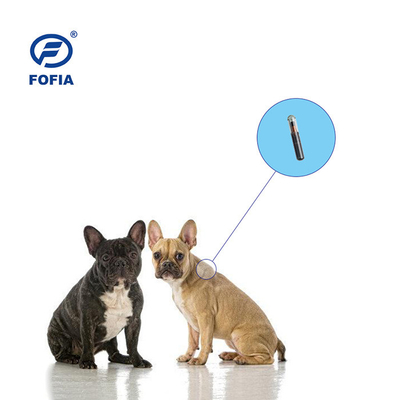 Identifikationschip für Tiere und Haustiere mit 11,5 mm FDX-B Glasstag