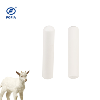 Animal Identification Ear Tag Cattle Rfid Bolus Tag 134.2khz