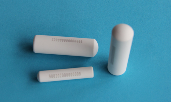 Identifizierung von Tieren Eartag Rinder Rfid Bolus Tag 134.2khz