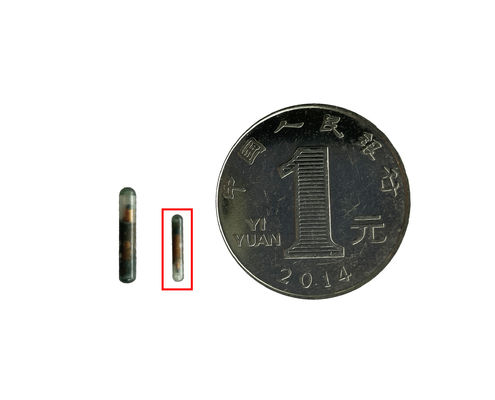 Temperaturüberwachungstransponder ISO11784/5 FDX-B Tier-ID-Mikrochip für Tiergesundheit und -wohlbefinden