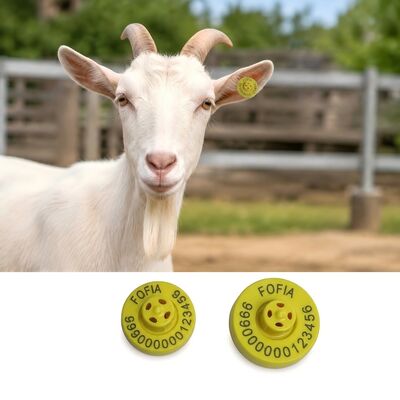 Leseweite bis zu 22 cm mit Handleser Schweineohrmarken Laserdruck dauerhafte Identifizierungslösung für Vieh