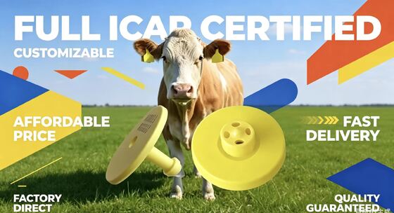 VOLLSTÄNDIG ICAR-zertifizierte, langlebige elektronische FDX-B-Ohrmarken für die Verfolgung und Identifizierung von Rindern, die die Überwachung des Viehbestands und die Rückverfolgbarkeit von landwirtschaftlichen Betrieben unterstützen