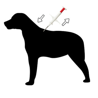 ZS007 Ultra-kleines und leichtes Identifizierungsgerät für kleine Tiere zur Identifizierung von Tieren