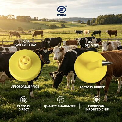 Elektronische Ohrzeichen mit ICAR-zertifiziertem langlebigen TPU-Design für Viehverfolgung und umfassende Viehmanagementsysteme