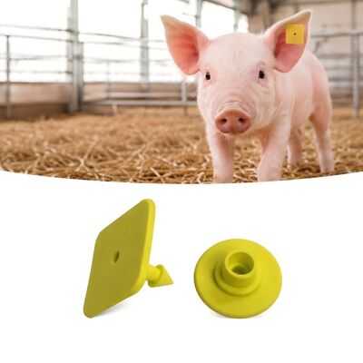 Laserdruck-Schwein Ohr-Tags mit EPC Gen2 V2 0 Konformitätsstandards ideal für Viehverfolgung und Betriebsführung
