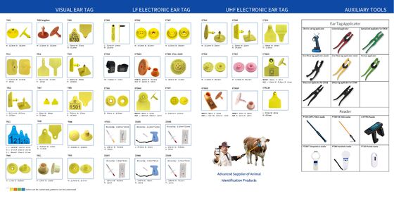 FULL ICAR Anpassungsfähige TPU Leere Kuh Ohrringe Tags Kunststoff Tiere Ohrring für Schafe Ziege Rinder Ohrring