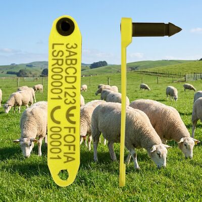 ICAR genehmigt FDX-B HDX RFID Schaf Ohrzeichen ET969 für Viehverfolgung