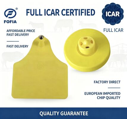 Full ICAR ET908+T905 Wasserdichtes RFID TPU Gelbe Tier Ohrzeichen FDX-B 134.2Khz EM4305 Chips Rinder