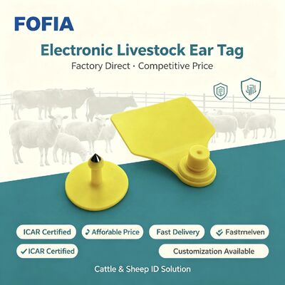 TPU Fofia ICAR T904 Ohrzeichen für Viehvieh Schafe Schweine Kuh Ziege