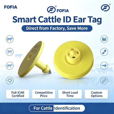 Full ICAR ET908+T901 Wasserdichtes RFID LF TPU Gelbe Tier Ohr-Tags 14.5mm EM4305 Chips 5 Jahre Garantie Rinder Fofia