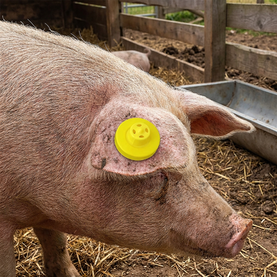 Hochwertige, wasserdichte, ausfallsichere RFID-Schafohrmarke ISO11785 FDX-B für die Tierverfolgung