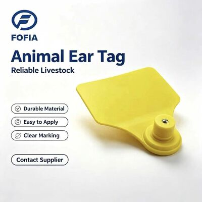 ICAR Fofia T904+T901 Tier-Ohrmarke Neue hochwertige RFID TPU 72*57mm Lasercodierung 3 Jahre Garantie Landwirtschaftliche Verwendung für Rinder