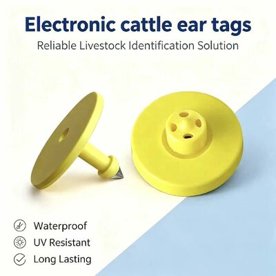 Neue vollständige ICAR ET908+T901 wasserdichte RFID LF TPU gelbe Tier Ohr-Tags 14.5mm EM4305 Chips 5 Jahre Garantie Rinder Fofia