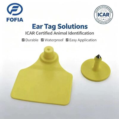 Dauerhafte wasserdichte ICAR Fofia T904 + T901 Tier Ohrzeichen Chip RFID TPU Laser Codierung 3 Jahre Garantie Viehverfolgung