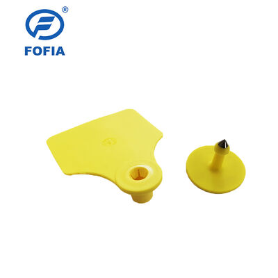 Dauerhafte wasserdichte ICAR Fofia T904 + T901 Tier Ohrzeichen Chip RFID TPU Laser Codierung 3 Jahre Garantie Viehverfolgung