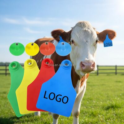Fofia T921 New Animal Tracking Ear Tag High Quality RFID TPU Plastic Chip Laser Coding 1.5 Year Warranty for Farm