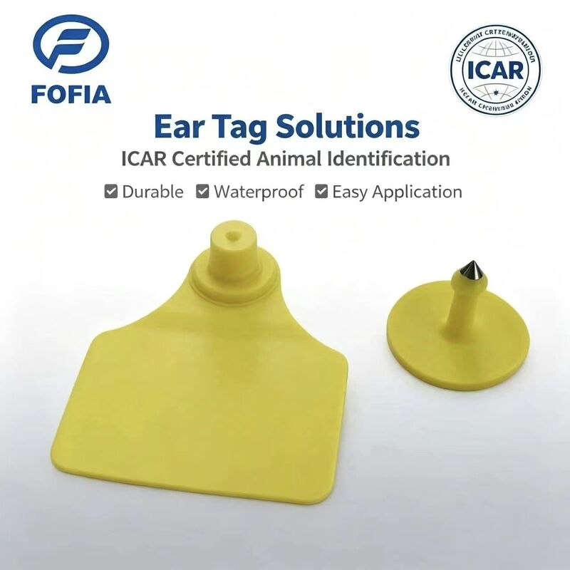 Dauerhafte wasserdichte ICAR Fofia T904 + T901 Tier Ohrzeichen Chip RFID TPU Laser Codierung 3 Jahre Garantie Viehverfolgung