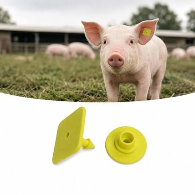 UHF-elektronische Tier-Ohrmarke TPU Leichtgewicht 3,2 Gramm Identifikationsmarken für genaue Viehverfolgung und Datenerhebung