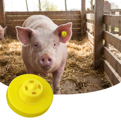 FULL ICAR 134.2KHz RFID-Metall-Ohrzeichen für Rinder Schweine Schafe Verbesserte Tieridentifizierungslösung